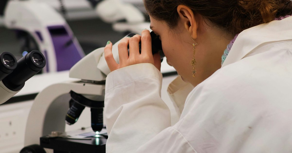 Laboratory scientist analyzing specimen under microscope in clean daylight